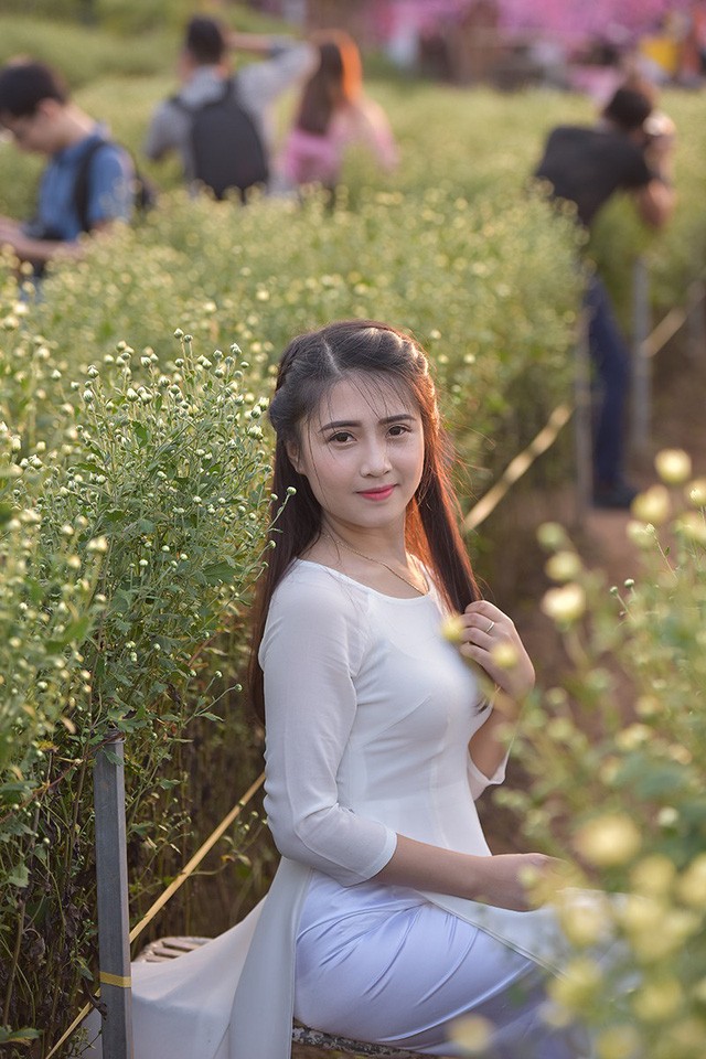 Cho thuê chụp ảnh, chủ vườn cúc họa mi kiếm hàng chục triệu mỗi ngày ảnh 12 Cho thuê chụp ảnh, chủ vườn cúc họa mi kiếm hàng chục triệu mỗi ngày ảnh 12