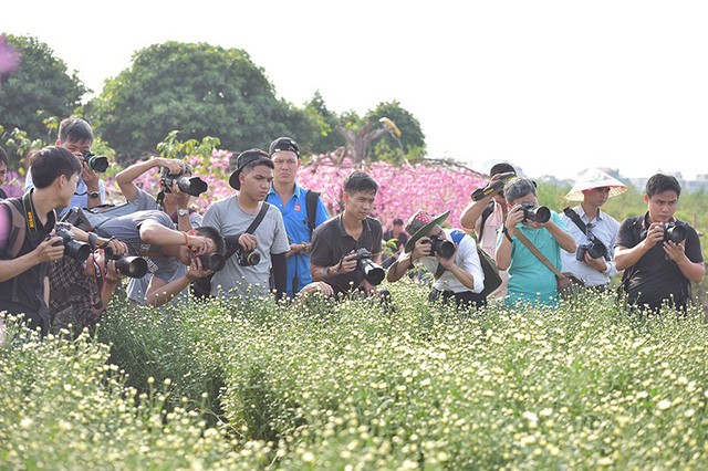 Cho thuê chụp ảnh, chủ vườn cúc họa mi kiếm hàng chục triệu mỗi ngày ảnh 7 Dàn ống kính máy ảnh tụ tập tại vườn cúc hoạ mi