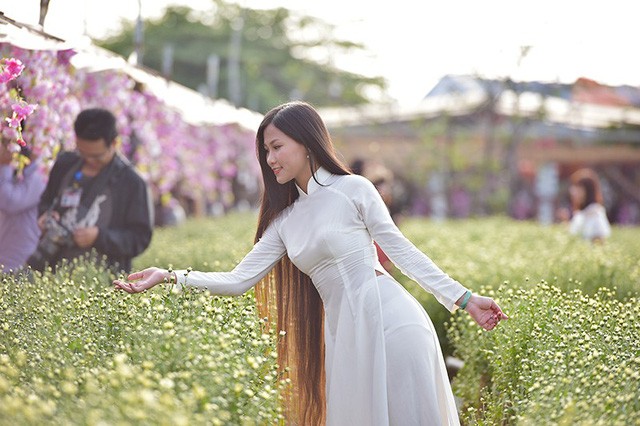 Cho thuê chụp ảnh, chủ vườn cúc họa mi kiếm hàng chục triệu mỗi ngày ảnh 9 Cho thuê chụp ảnh, chủ vườn cúc họa mi kiếm hàng chục triệu mỗi ngày ảnh 9