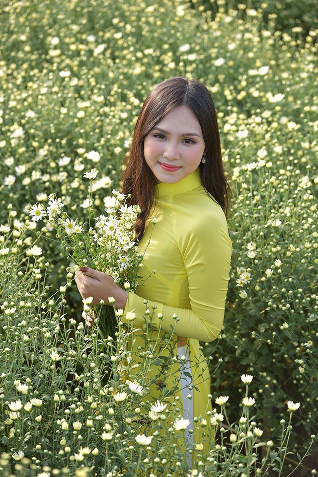 Cho thuê chụp ảnh, chủ vườn cúc họa mi kiếm hàng chục triệu mỗi ngày ảnh 5 Theo kinh nghiệm của các nhiếp ảnh, cúc hoạ mi là loài hoa mau tàn. Chụp ảnh với cúc hoạ mi đẹp nhất là là từ thời điểm này cho tới hết tháng 11.