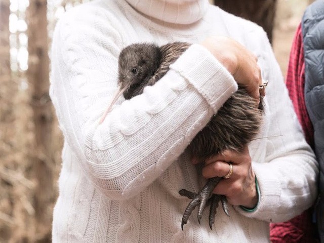 Trải nghiệm tour du lịch dành cho giới nhà giàu: 9 ngày giá hơn 1 tỷ đồng ảnh 6