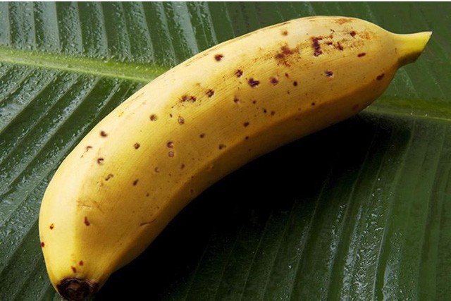 Kỳ lạ giống chuối ăn được cả... vỏ, hơn 100 nghìn đồng/quả ảnh 2