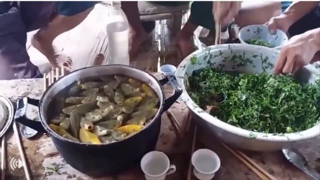 Rùng mình 5 món ăn sống ở Việt Nam khiến khách Tây “khiếp sợ” ảnh 1