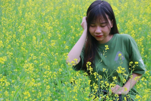 Vườn hoa cải rực vàng đẹp mê hồn khiến du khách nao lòng ở Thung Nham ảnh 11