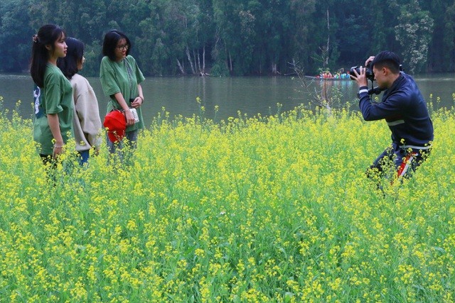 Vườn hoa cải rực vàng đẹp mê hồn khiến du khách nao lòng ở Thung Nham ảnh 12