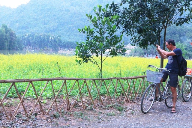 Vườn hoa cải rực vàng đẹp mê hồn khiến du khách nao lòng ở Thung Nham ảnh 13