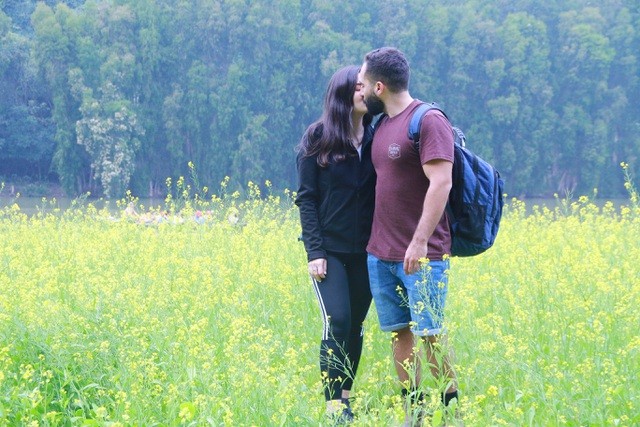 Vườn hoa cải rực vàng đẹp mê hồn khiến du khách nao lòng ở Thung Nham ảnh 18