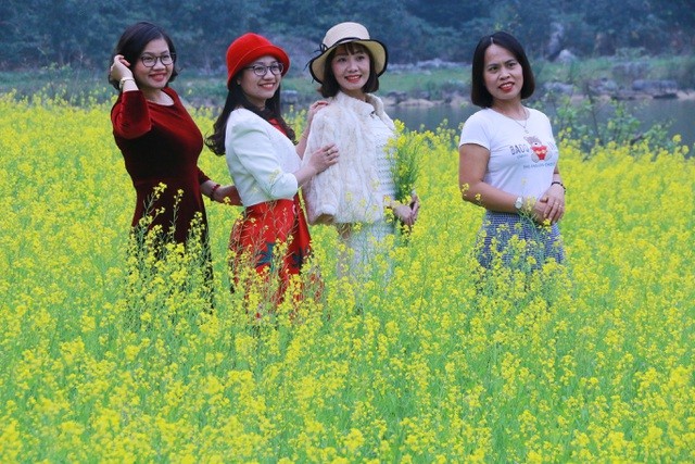 Vườn hoa cải rực vàng đẹp mê hồn khiến du khách nao lòng ở Thung Nham ảnh 4