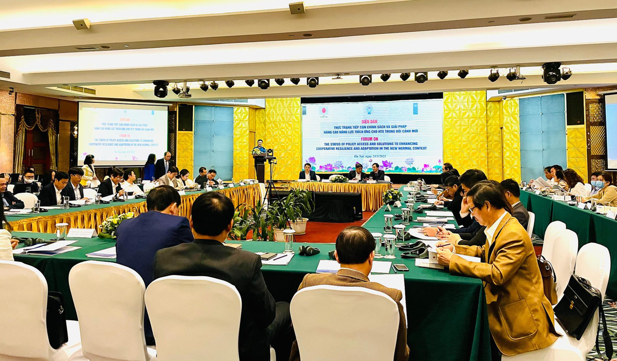 Nhiều hợp tác xã không biết đến các chính sách hỗ trợ.