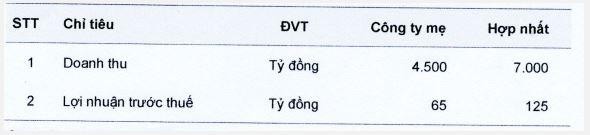 Kế hoạch kinh doanh năm 2022 của VGS Kế hoạch kinh doanh năm 2022 của VGS