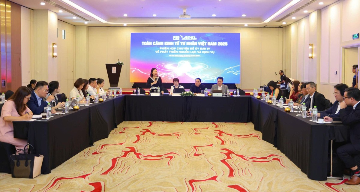 Toàn cảnh chuyên đề Ủy ban IV về phát triển nguồn lực và dịch vụ (Ảnh: Lê Toàn)