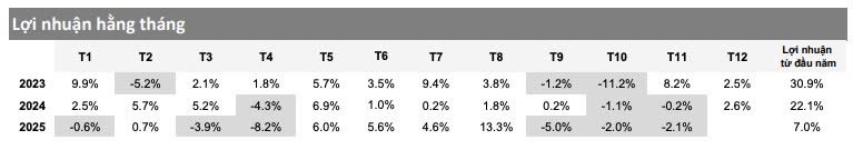 Hiệu suất đầu tư của quỹ VESAF