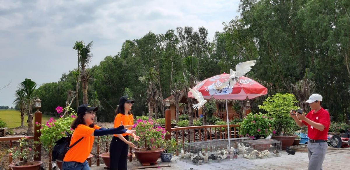 Thu Trà Sư ảnh 5