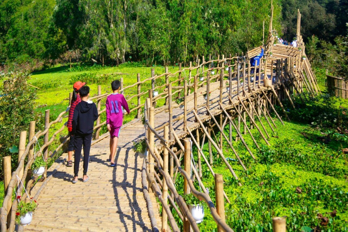 Cận cảnh cây cầu dài nhất Việt Nam xuyên qua rừng tràm Trà Sư ảnh 4