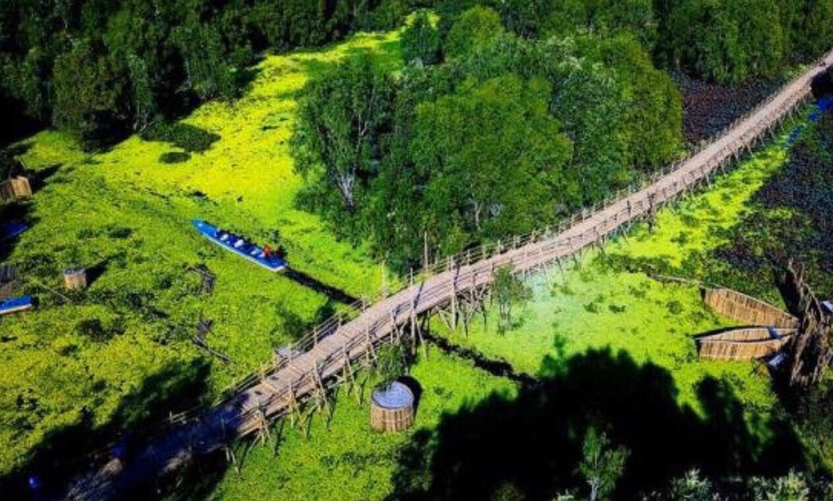 Cận cảnh cây cầu dài nhất Việt Nam xuyên qua rừng tràm Trà Sư ảnh 7