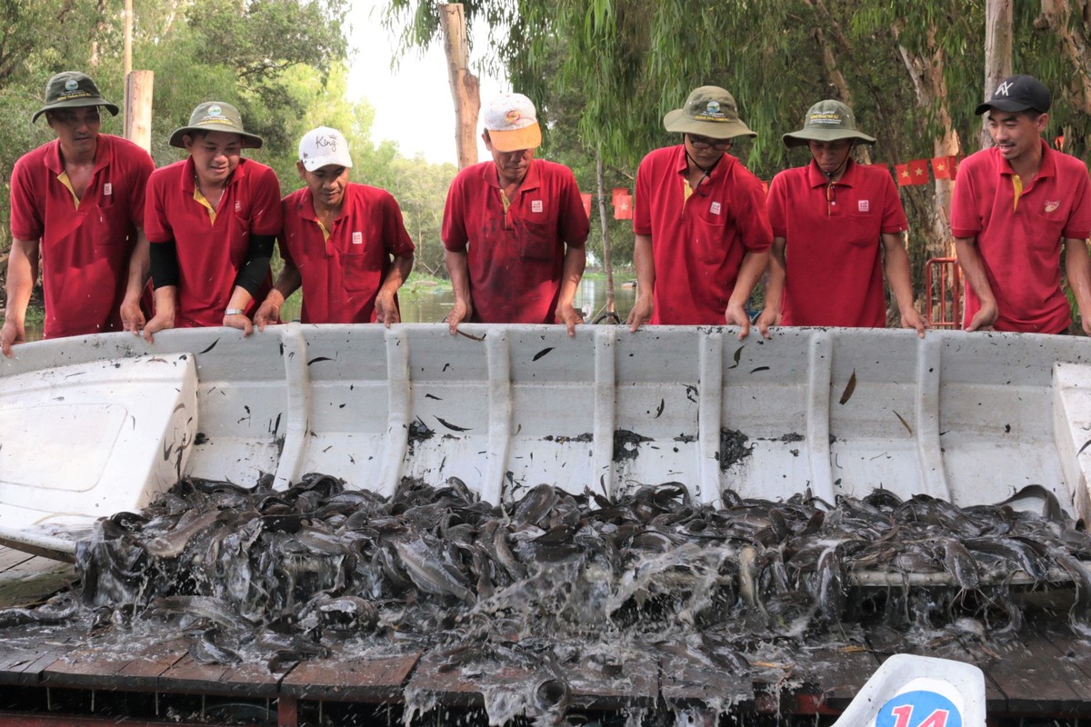 “Thịnh vượng” Trà Sư cho ngày trở lại ảnh 2