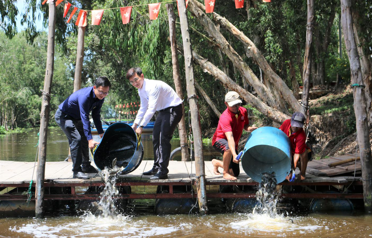 Nuôi cá trong rừng ảnh 1