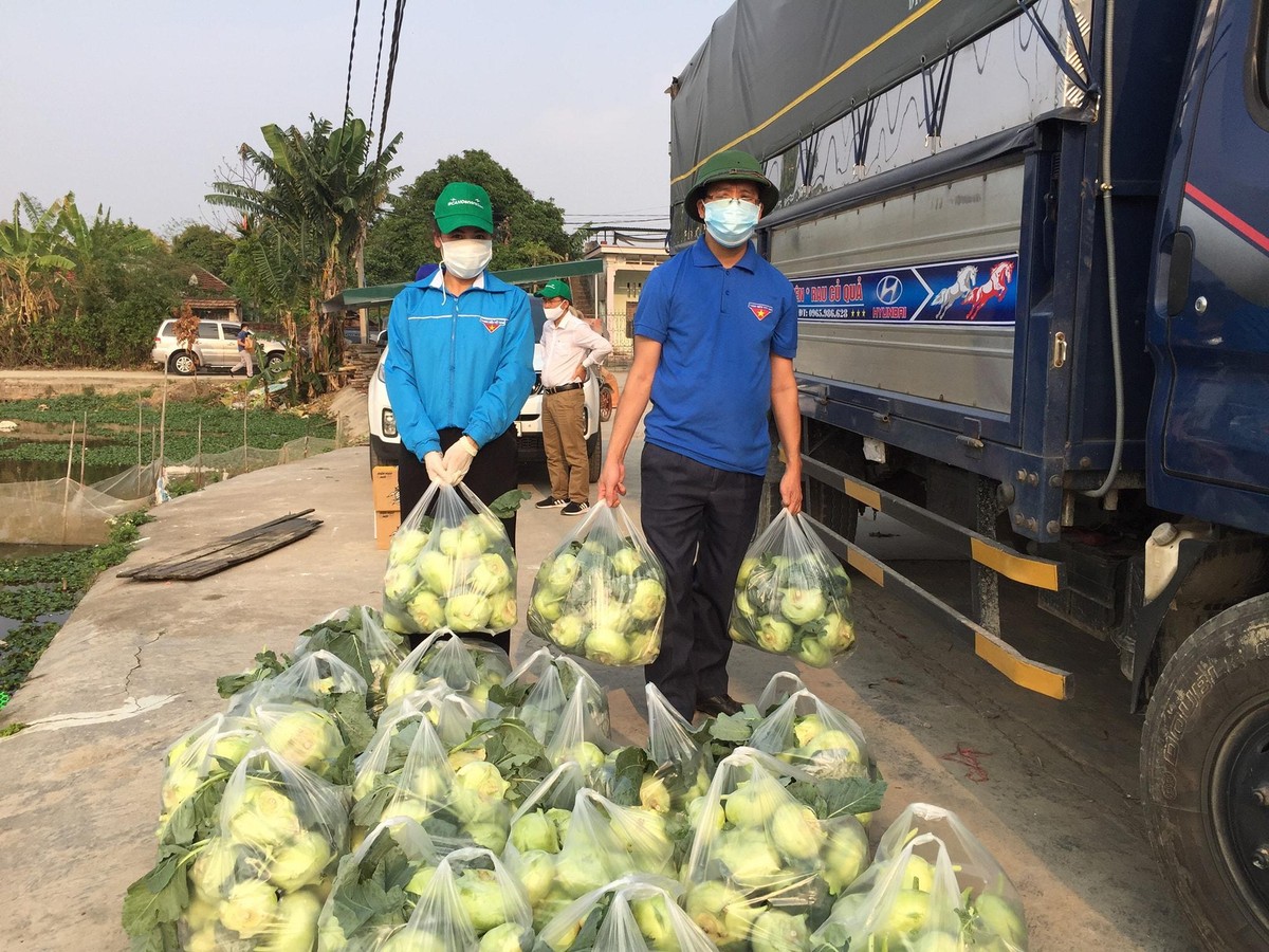 Cộng đồng chung tay giải cứu nông sản Hải Dương do ảnh hưởng của Covid-19