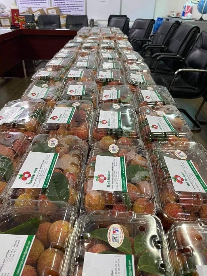 Lô vải xuất khẩu của Pacific Foods sẽ đến được tay người tiêu dùng châu Âu mất khoảng 4-5 ngày.