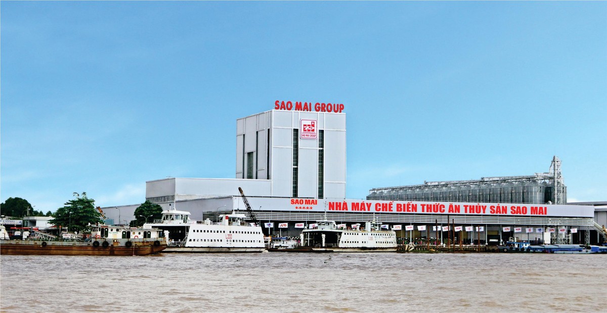 Sao Mai Superfeed soi dáng uy nghi.