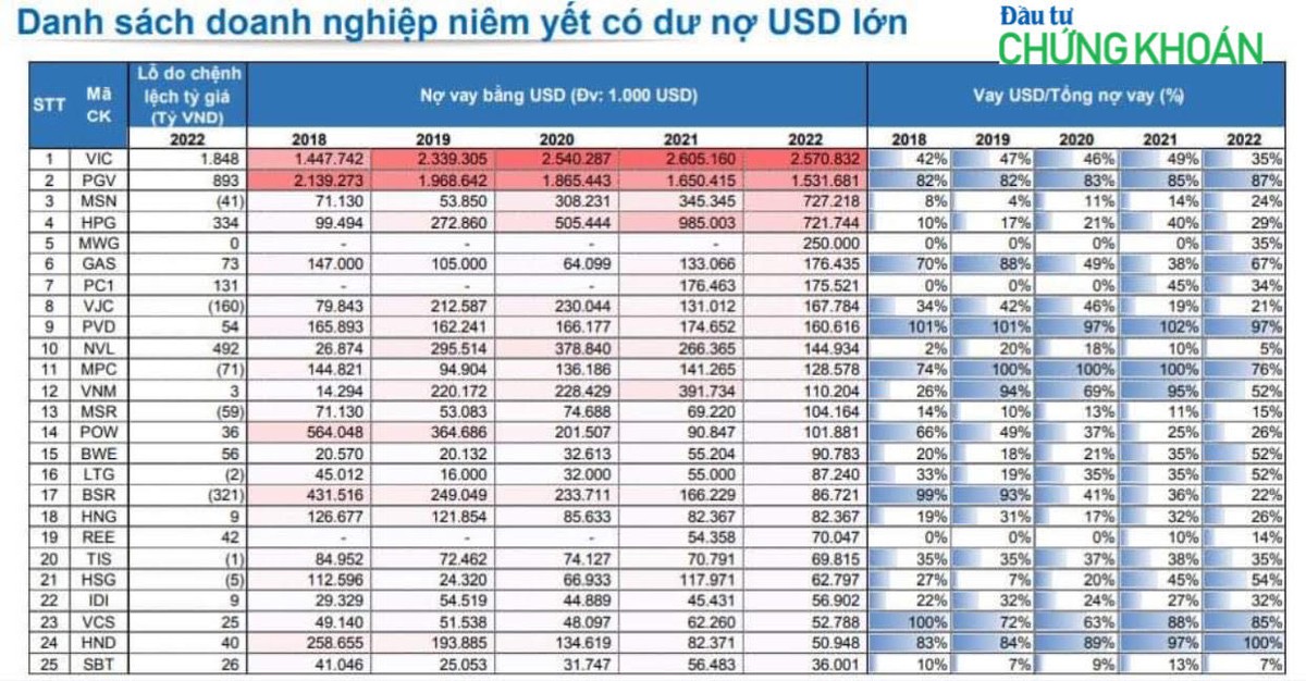 Danh sách doanh nghiệp niêm yết có dư nợ USD lớn. Nguồn Yuanta Việt Nam.