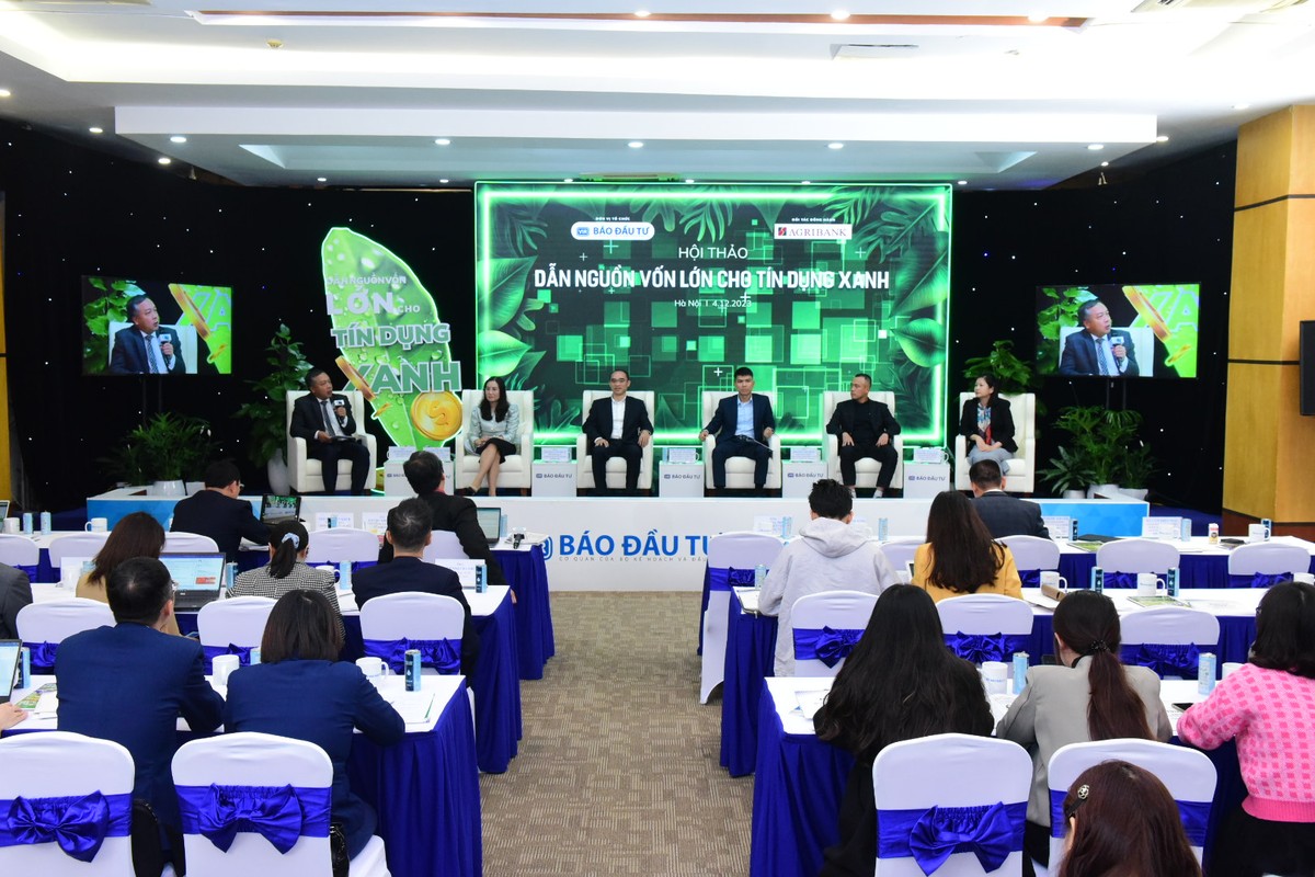 Ông Võ Quốc Khánh, Phó Tổng giám đốc Công ty EY Việt Nam cho rằng trong phạm vi hệ thống tài chính Việt Nam, nhu cầu cầu tín dụng xanh rất lớn. Ảnh Dũng Minh.