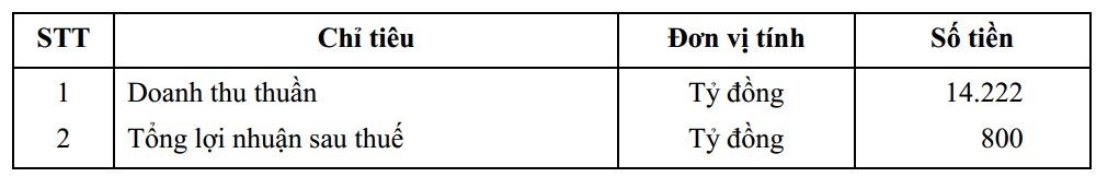 Kế hoạch kinh doanh 2024 Tập đoàn Sao Mai trình tại Đại hội cổ đông sắp tới.