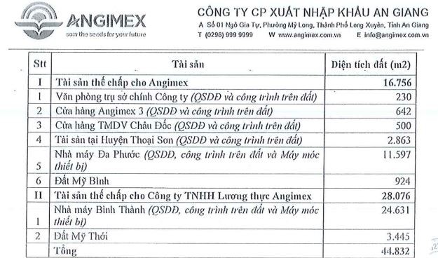 Danh mục tài sản thế chấp tại BIDV- Chi nhánh Bắc An Giang của Angimex.