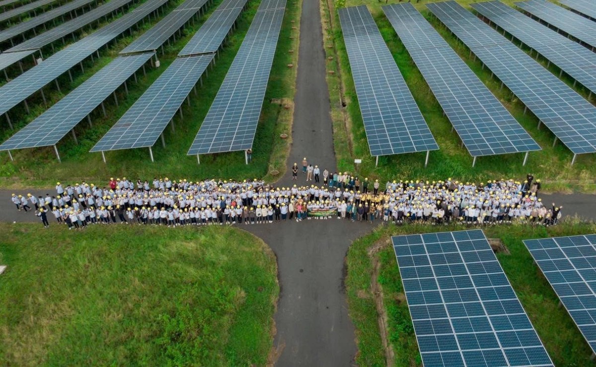 Đoàn học sinh tham quan dưới những tấm pin mặt trời khổng lồ.