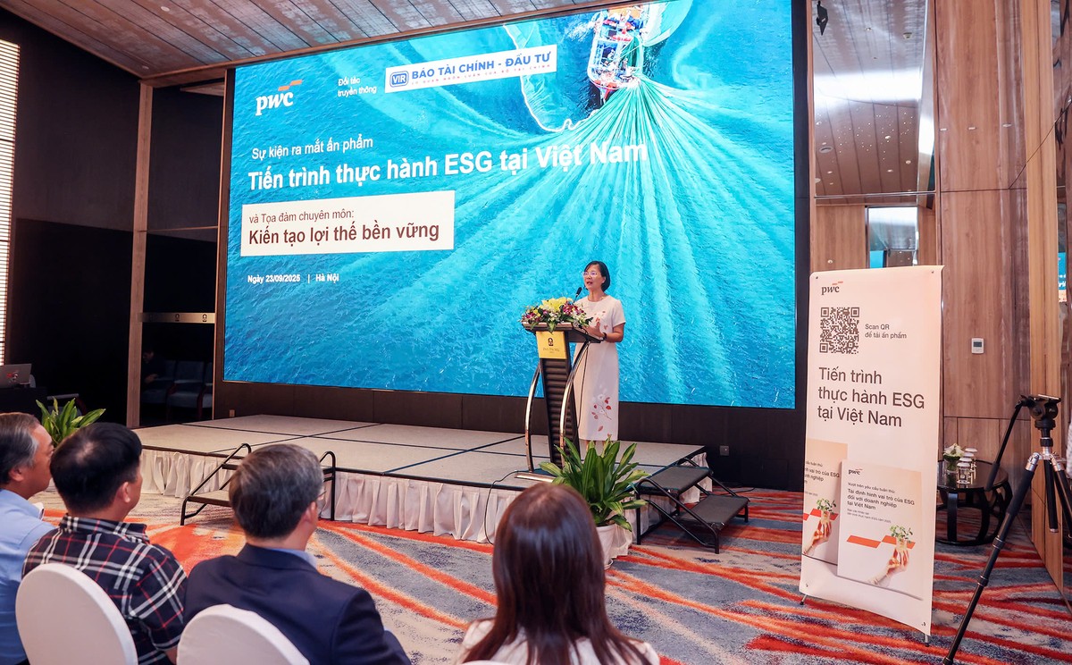 Bà Đinh Thị Quỳnh Vân, Chủ tịch PwC Việt Nam chia sẻ tại buổi họp báo. Ảnh Đức Thanh.