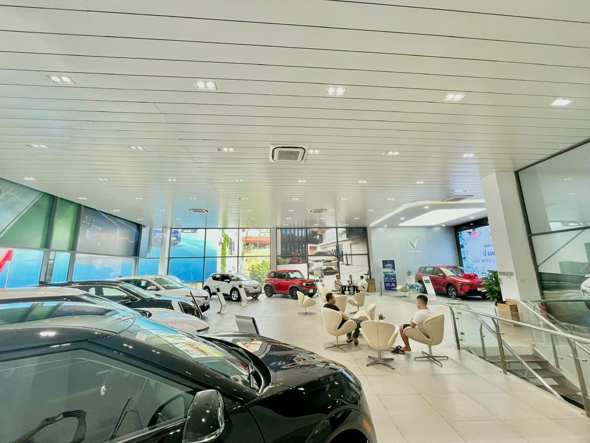 Haxaco dự kiến mua từ 65% đến 85% cổ phần tại Công ty cổ phần Tập đoàn Tương Lai Việt, qua đó trực tiếp tham gia điều hành và phát triển chuỗi đại lý VinFast. Haxaco dự kiến mua từ 65% đến 85% cổ phần tại Công ty cổ phần Tập đoàn Tương Lai Việt, qua đó trực tiếp tham gia điều hành và phát triển chuỗi đại lý VinFast.