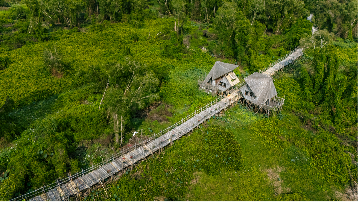 Toàn cảnh nhìn xuống “biển tràm” bạt ngàn mùa Tết. Toàn cảnh nhìn xuống “biển tràm” bạt ngàn mùa Tết.