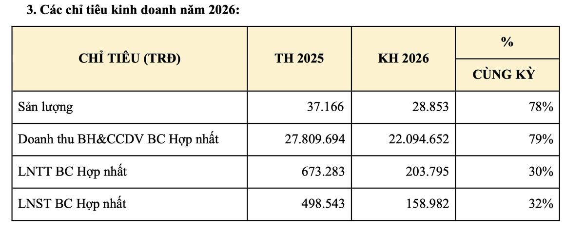 Savico đặt kế hoạch đi lùi trong năm 2026.
