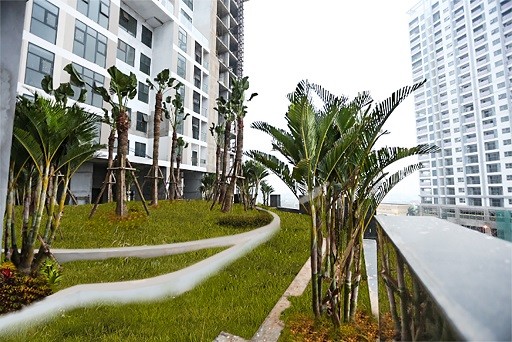 Ngẩn ngơ với những hình ảnh của dự án có chính sách bán hàng “khủng” nhất Hà Đông ảnh 4