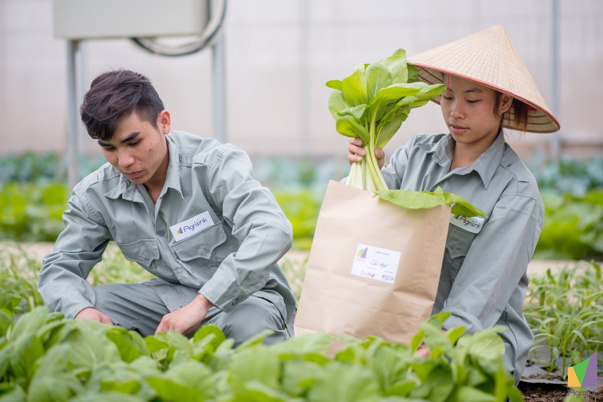 Nếu có yêu thương thì ngày nào cũng là 1/6 ảnh 5