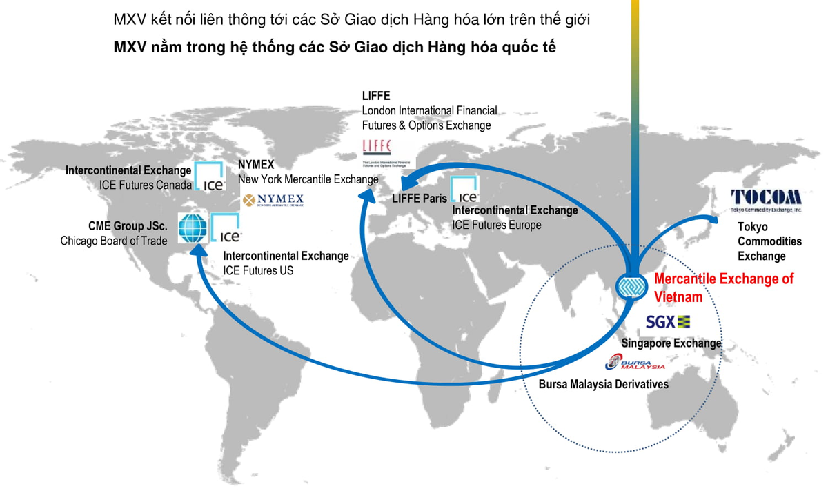 Giao dịch hàng hóa qua sàn: Kênh đầu tư mới mẻ và nhiều tiềm năng ảnh 2