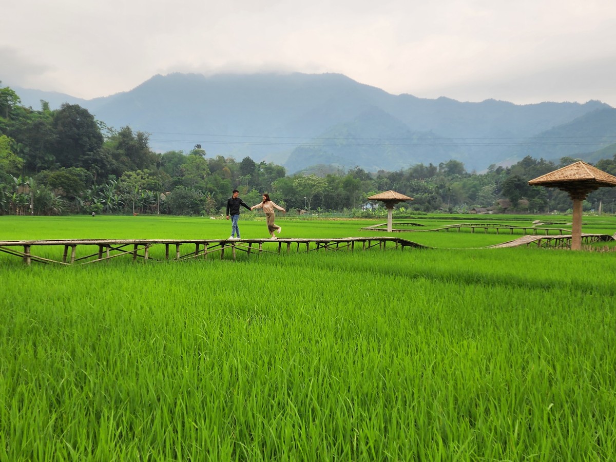 Những bạn trẻ về đây để trải nghiệm vẻ đơn mộc bản của vùng núi Tây Bắc - Đông Bắc