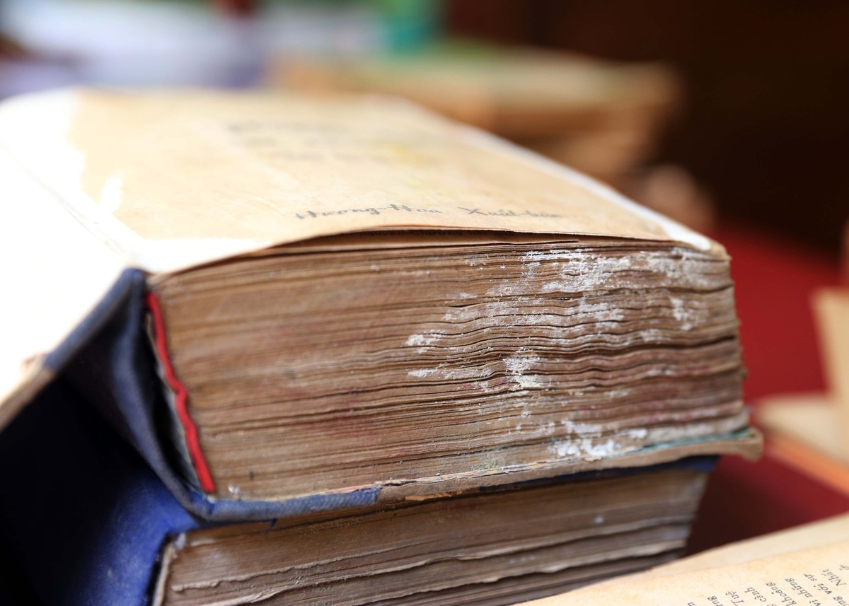 Người “hồi sinh” sách cũ cuối cùng tại Sài Gòn ảnh 14