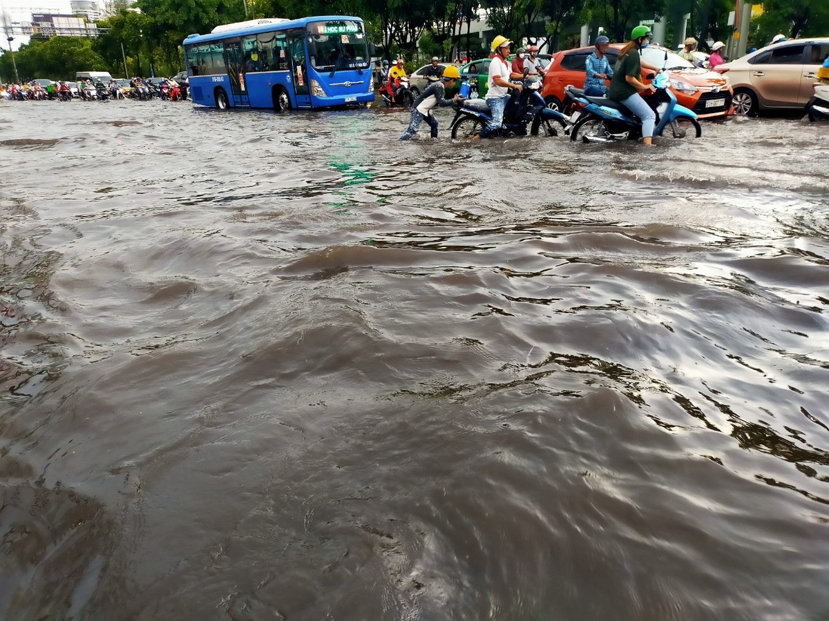 TP.HCM: Đường Nguyễn Hữu Cảnh lại ngập sau cơn mưa đầu mùa ảnh 5