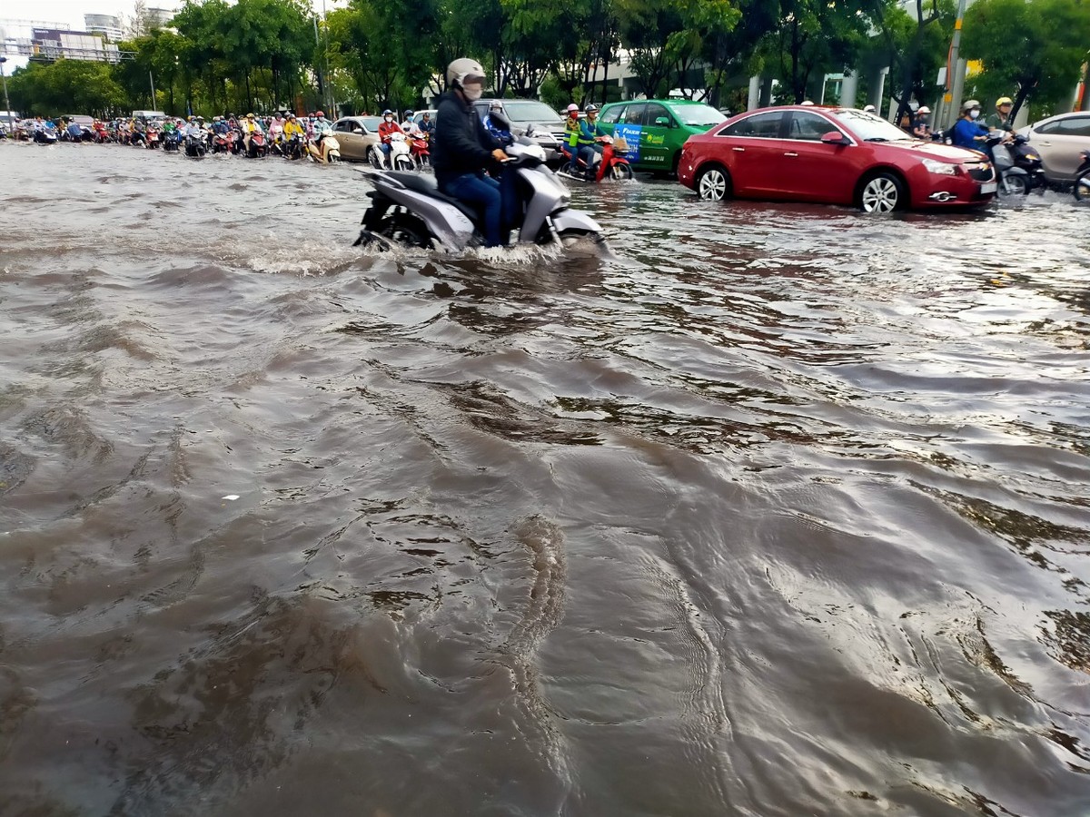 TP.HCM: Đường Nguyễn Hữu Cảnh lại ngập sau cơn mưa đầu mùa ảnh 3
