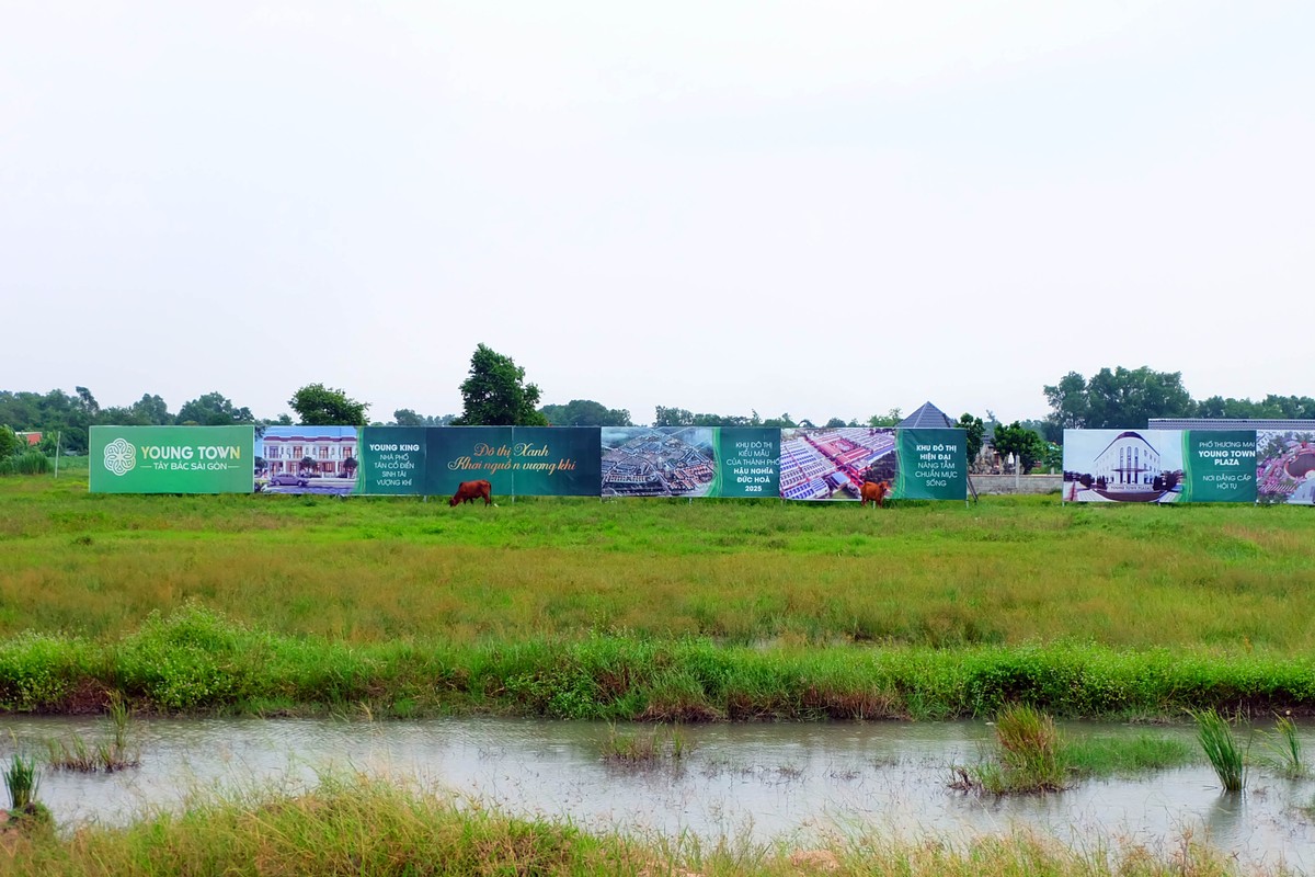 Những dự án vắng bóng người tại Long An ảnh 11