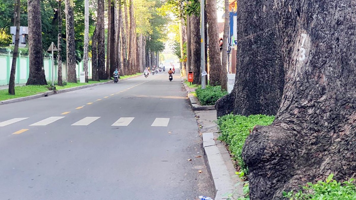 Đường Nguyễn Bỉnh Khiêm, quận 1