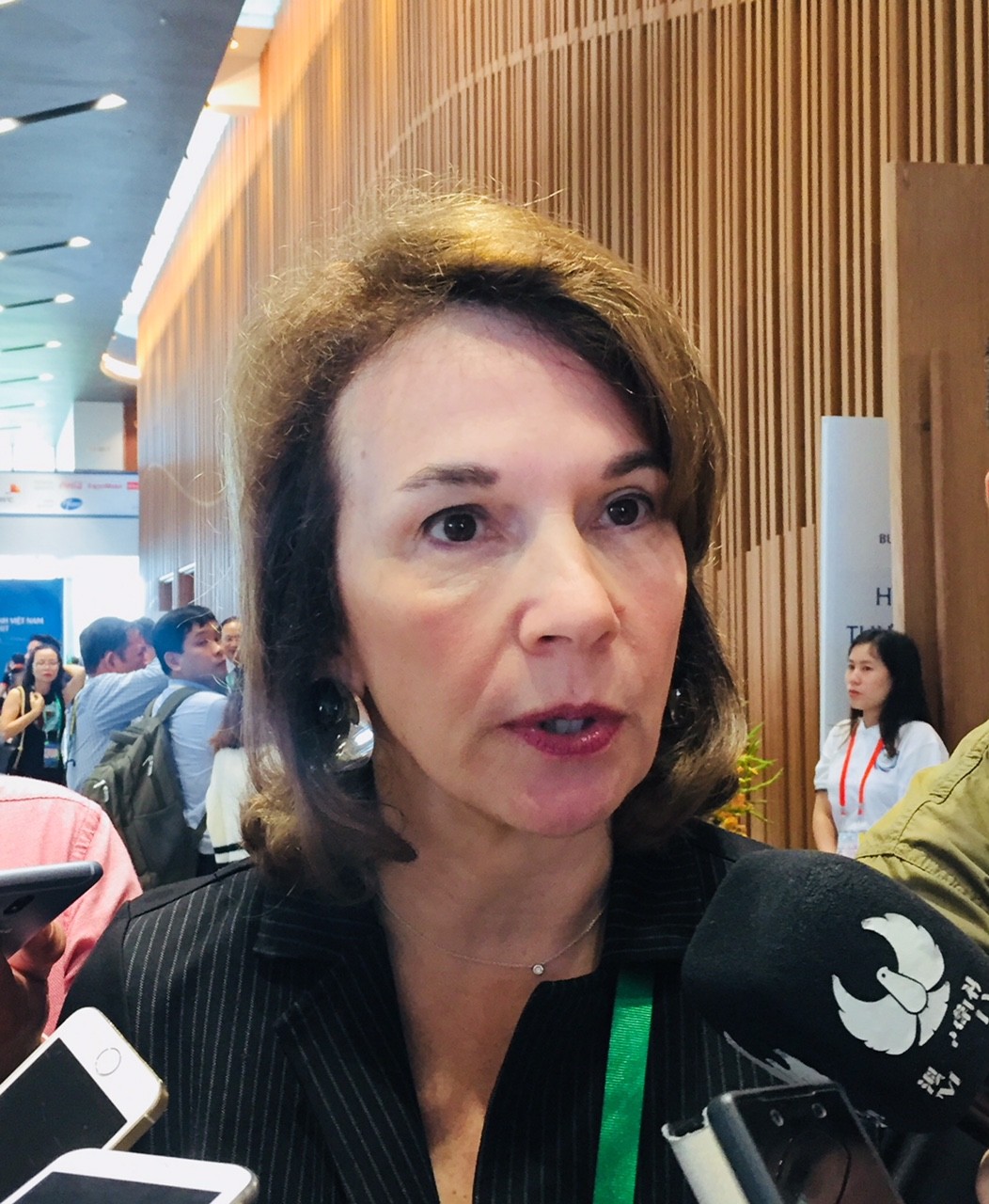 Các CEO APEC: Rút khỏi toàn cầu hoá không phải là sự lựa chọn ảnh 2