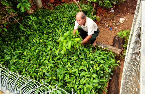 Tín dụng đen 'bủa vây' người dân vùng dự án miền núi ảnh 2