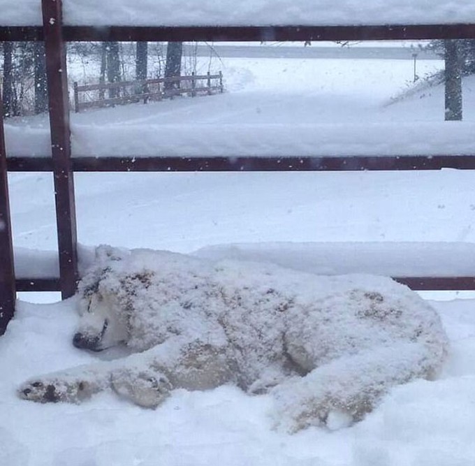 Những bức ảnh mùa đông nhìn là thấy buốt giá ảnh 8