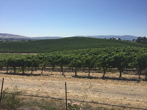 Sự thật về bức ảnh được nhiều người xem nhất thế giới ảnh 2