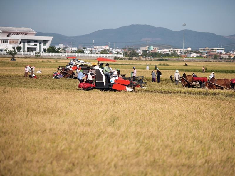 Cơ cấu lại nền kinh tế: Góc nhìn từ những nguồn lực bị đánh mất - Bài 1 ảnh 1