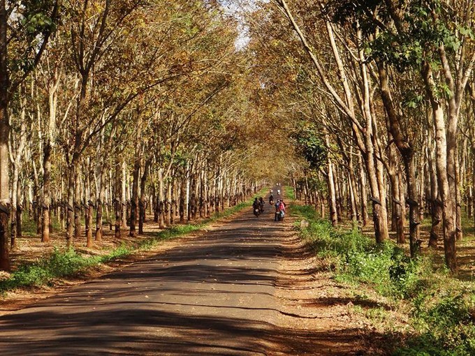 8 điểm đến đẹp nhất Việt Nam để du lịch vào tháng 1 ảnh 5