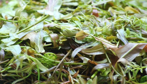 Ba món ngon ở quê hương của tân Hoa hậu Hoàn Vũ Việt Nam ảnh 2