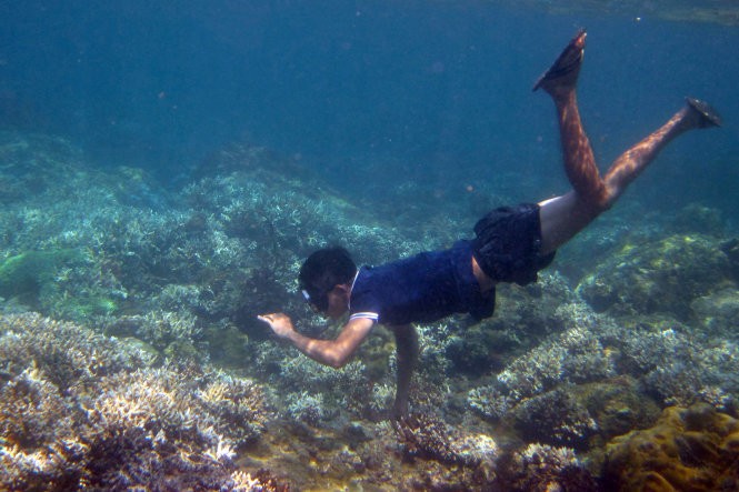 Bản sắc Việt: Hoang sơ Cồn Cỏ ảnh 2